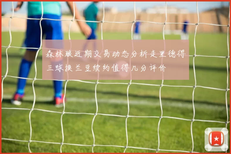 森林狼近期交易动态分析走里德得三球换兰豆续约值得几分评价
