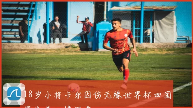 18岁小将卡尔因伤无缘世界杯回国显失落心情沉重