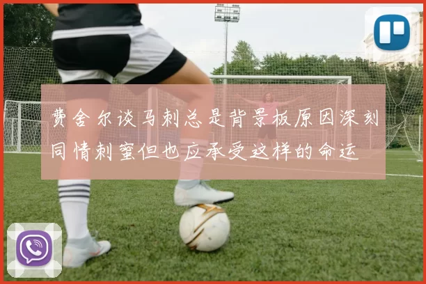 费舍尔谈马刺总是背景板原因深刻同情刺蜜但也应承受这样的命运