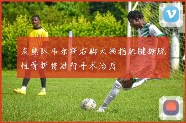 灰熊队韦尔斯右脚大拇指肌腱撕脱性骨折将进行手术治疗