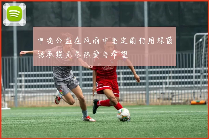 申花公益在风雨中坚定前行用绿茵场承载无尽热爱与希望